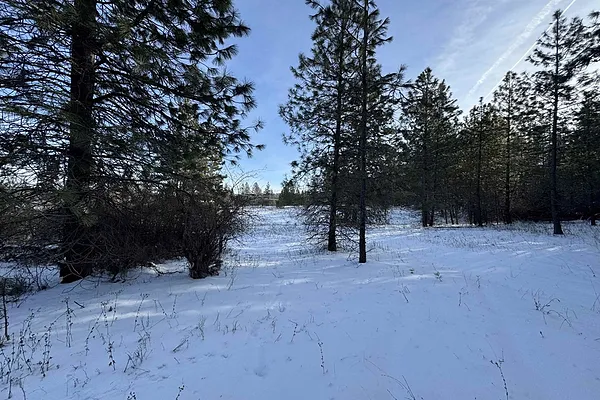Property Photo MLS #: 202511993